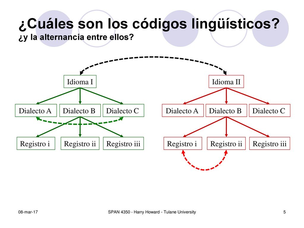 ¿Cuáles son los códigos lingüísticos ¿y la alternancia entre ellos