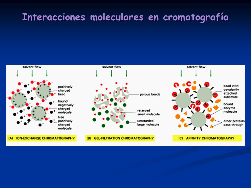 Interacciones moleculares en cromatografía