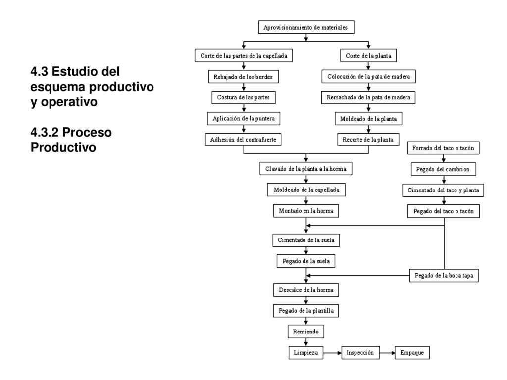 4. 3 Estudio del esquema productivo y operativo 4. 3