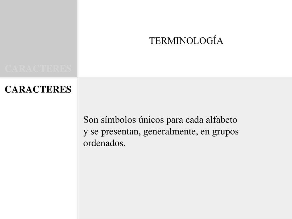 TERMINOLOGÍA CARACTERES. CARACTERES. Son símbolos únicos para cada alfabeto. y se presentan, generalmente, en grupos.