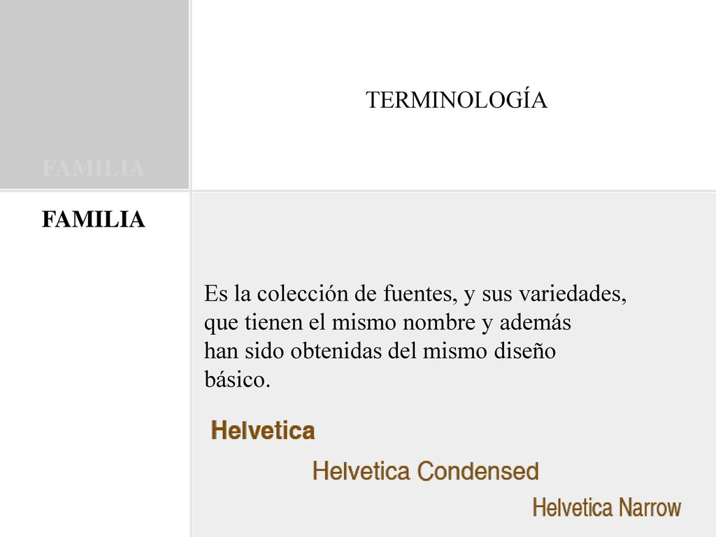 TERMINOLOGÍA FAMILIA. FAMILIA. Es la colección de fuentes, y sus variedades, que tienen el mismo nombre y además.
