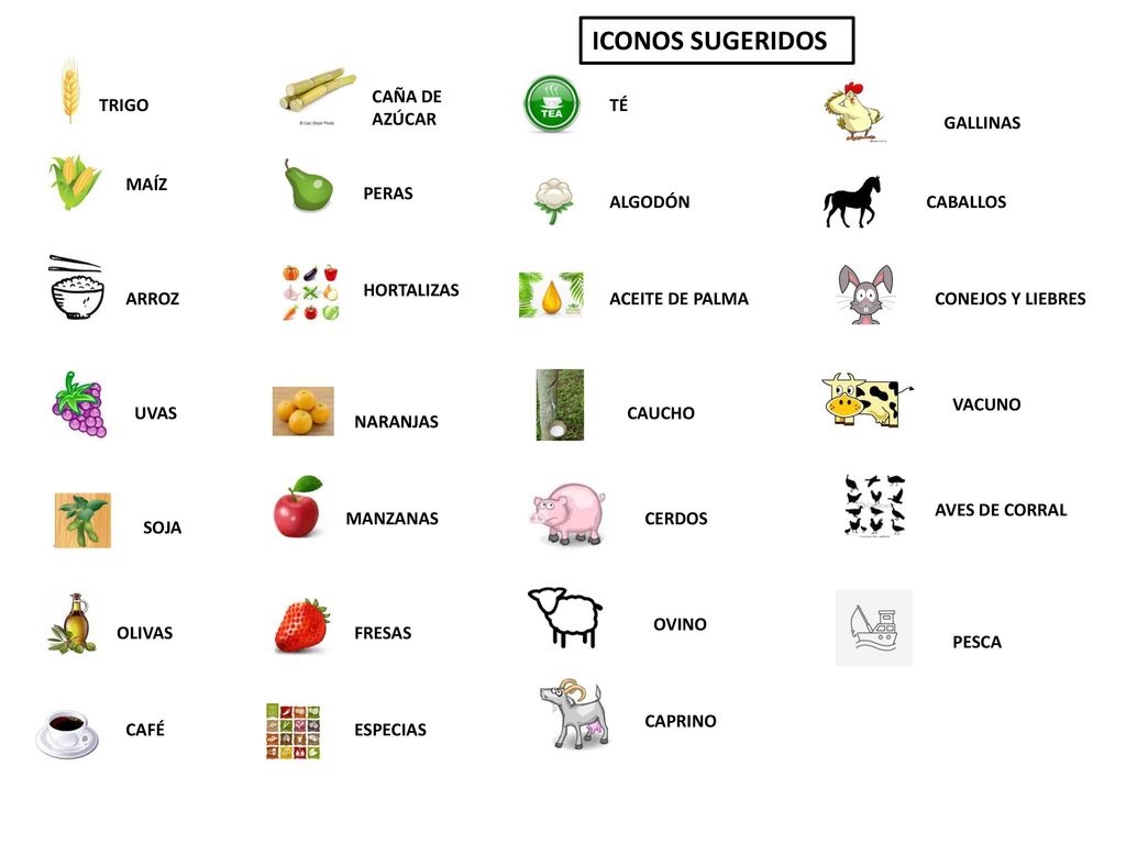ICONOS SUGERIDOS CAÑA DE AZÚCAR TRIGO TÉ GALLINAS MAÍZ PERAS ALGODÓN