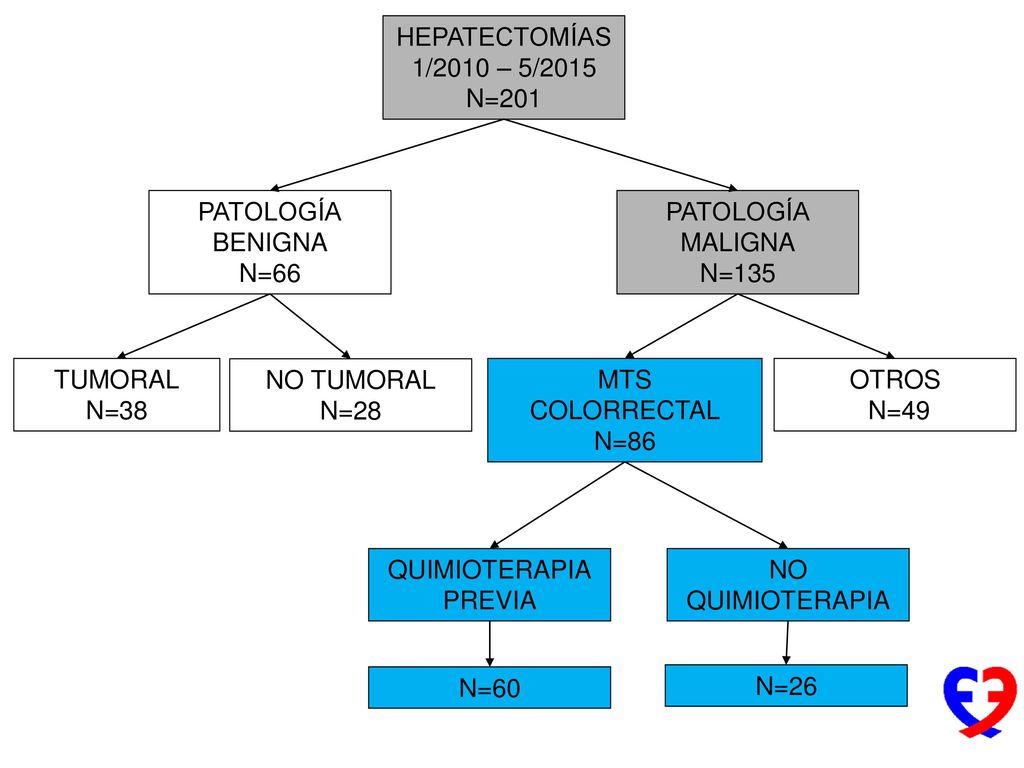 HEPATECTOMÍAS 1/2010 – 5/2015 N=201. PATOLOGÍA. BENIGNA. N=66. PATOLOGÍA. MALIGNA. N=135. TUMORAL.