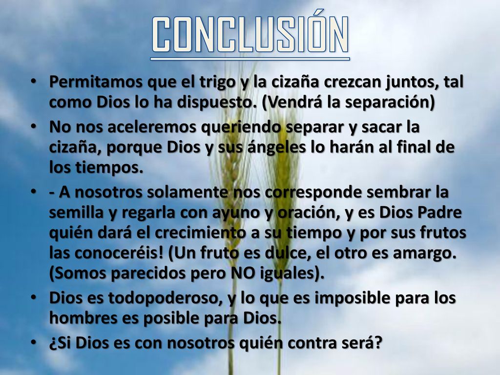 CONCLUSIÓN Permitamos que el trigo y la cizaña crezcan juntos, tal como Dios lo ha dispuesto. (Vendrá la separación)