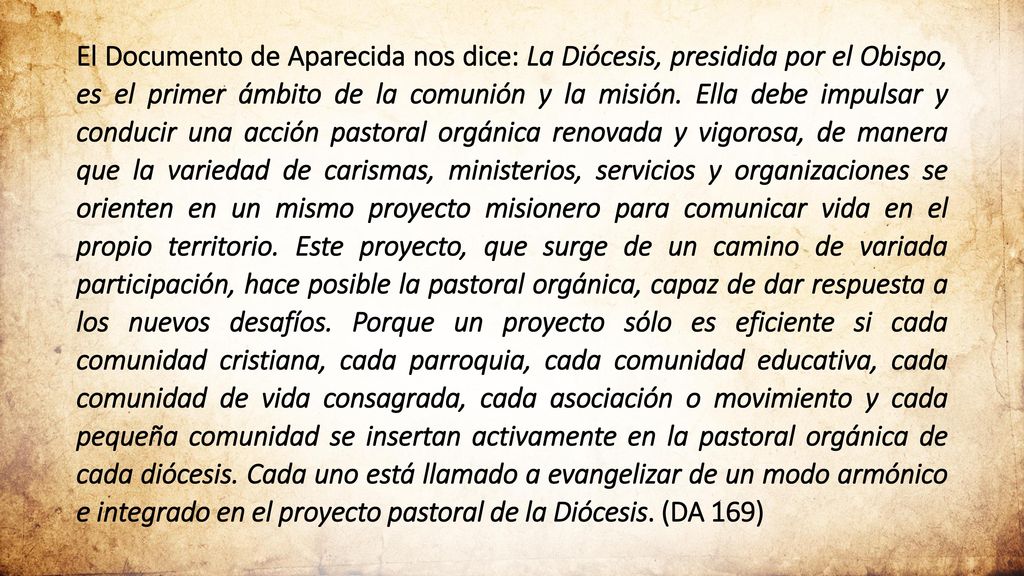 El Documento de Aparecida nos dice: La Diócesis, presidida por el Obispo, es el primer ámbito de la comunión y la misión.