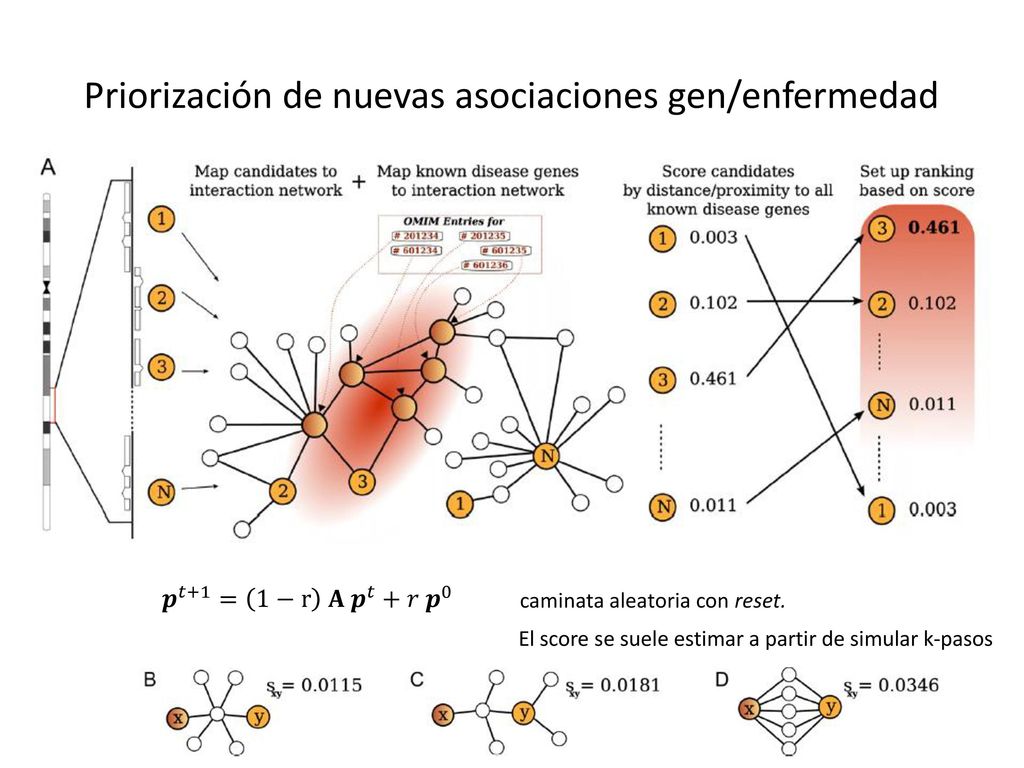 Donde está Juan 𝒑 𝑡+1 =𝐴 𝐷 −1 𝒑 𝑡 𝒑∞ =𝐴 𝐷 −1 𝒑∞