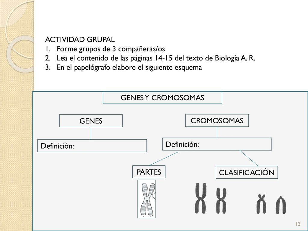 ACTIVIDAD GRUPAL Forme grupos de 3 compañeras/os. Lea el contenido de las páginas del texto de Biología A. R.