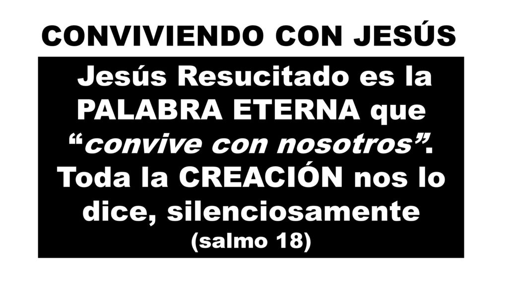 CONVIVIENDO CON JESÚS Jesús Resucitado es la PALABRA ETERNA que convive con nosotros . Toda la CREACIÓN nos lo dice, silenciosamente.