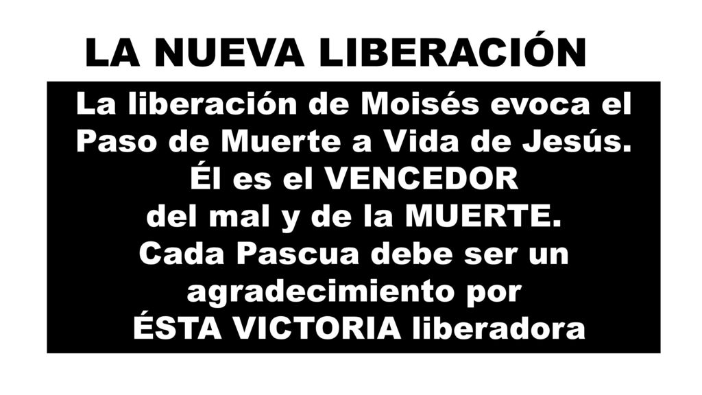 LA NUEVA LIBERACIÓN La liberación de Moisés evoca el Paso de Muerte a Vida de Jesús. Él es el VENCEDOR del mal y de la MUERTE.