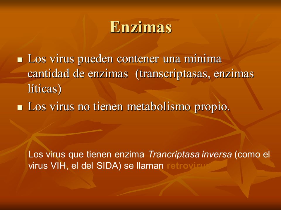 Enzimas Los virus pueden contener una mínima cantidad de enzimas (transcriptasas, enzimas líticas)
