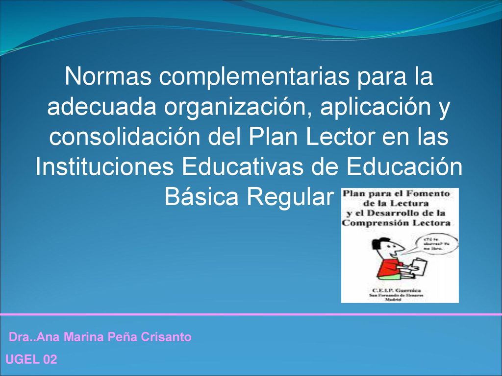 Normas complementarias para la adecuada organización, aplicación y consolidación del Plan Lector en las Instituciones Educativas de Educación Básica Regular