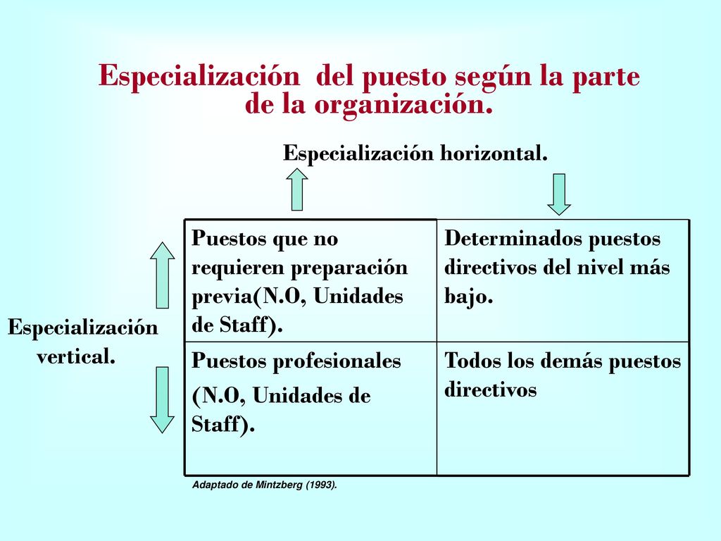Especialización del puesto según la parte de la organización.