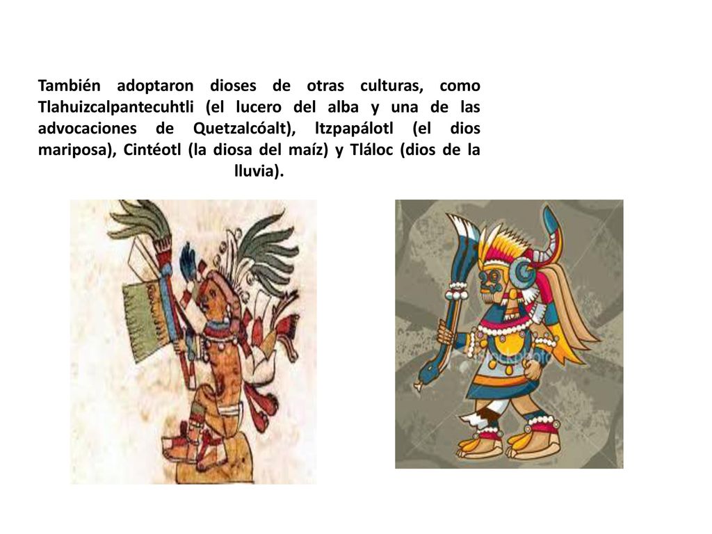 También adoptaron dioses de otras culturas, como Tlahuizcalpantecuhtli (el lucero del alba y una de las advocaciones de Quetzalcóalt), ltzpapálotl (el dios mariposa), Cintéotl (la diosa del maíz) y Tláloc (dios de la lluvia).