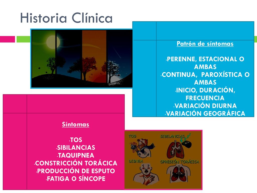 Historia Clínica Patrón de síntomas PERENNE, ESTACIONAL O AMBAS