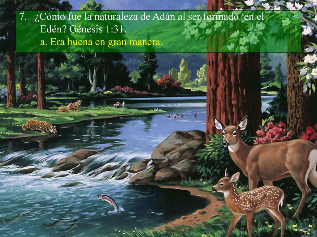 7. ¿Cómo fue la naturaleza de Adán al ser formado en el