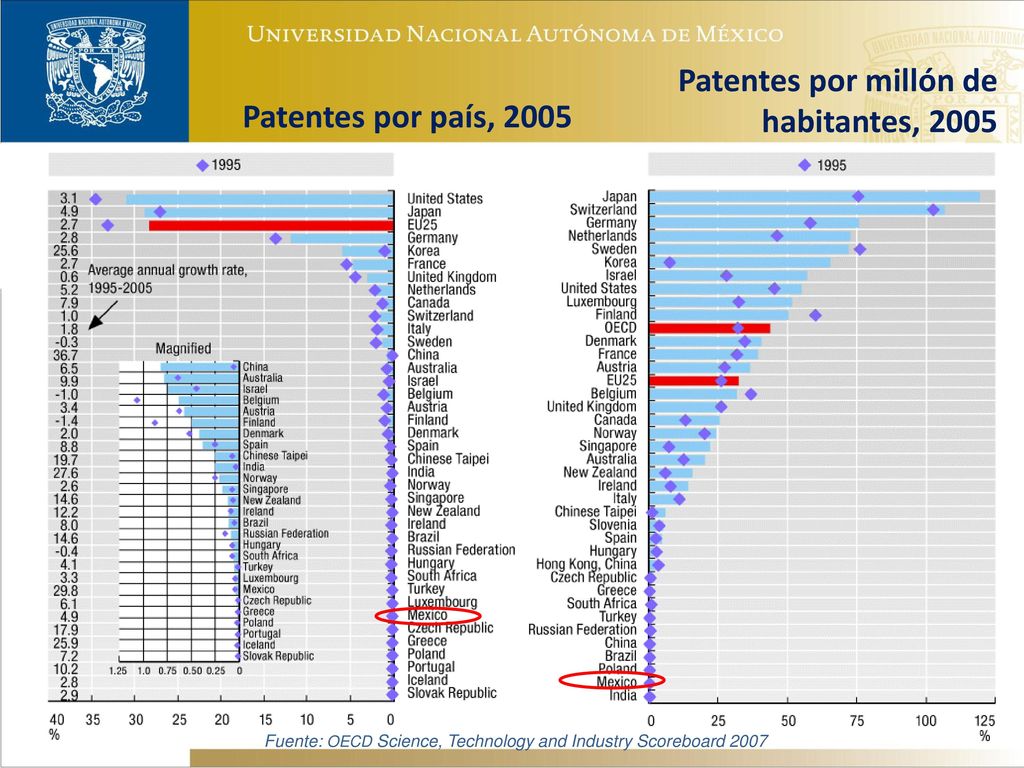 Fuente: OECD Science, Technology and Industry Scoreboard 2007