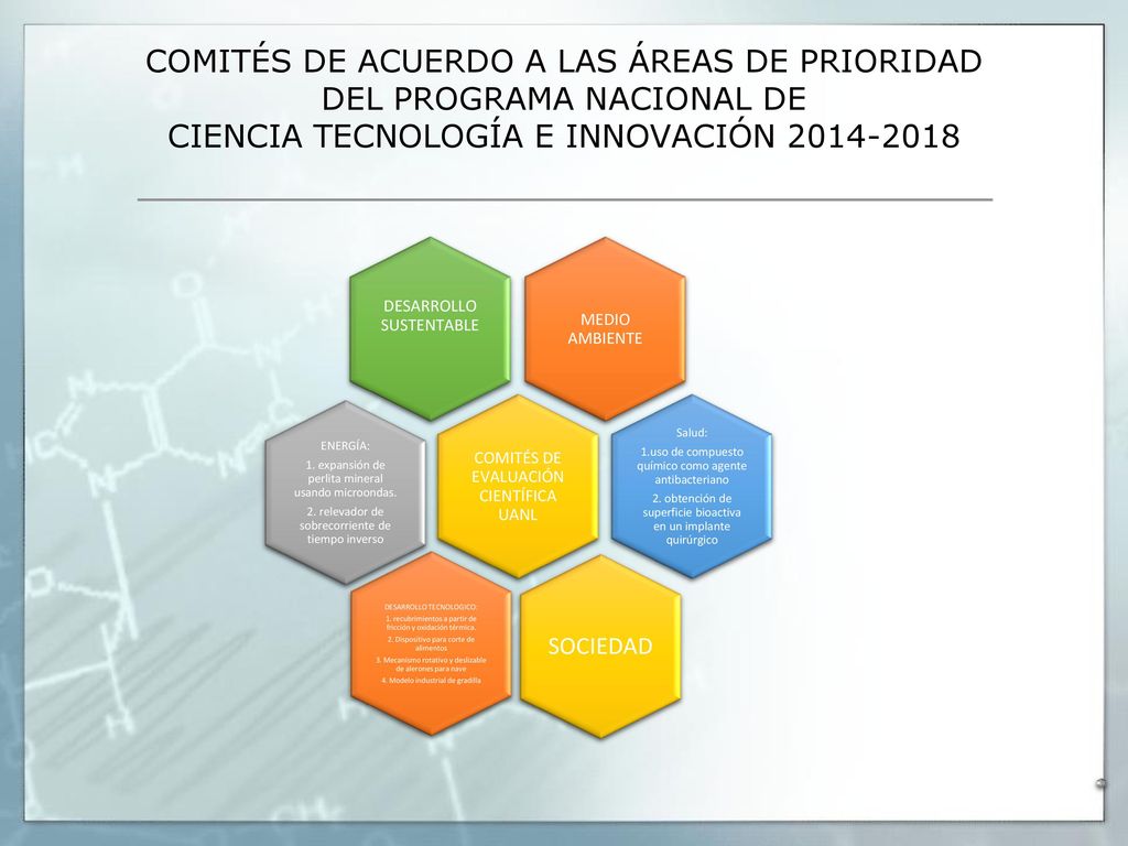 COMITÉS DE ACUERDO A LAS ÁREAS DE PRIORIDAD DEL PROGRAMA NACIONAL DE CIENCIA TECNOLOGÍA E INNOVACIÓN