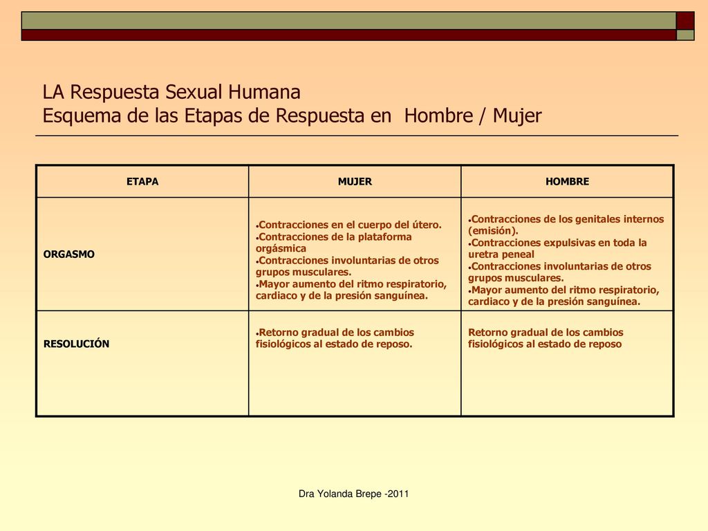 LA Respuesta Sexual Humana Esquema de las Etapas de Respuesta en Hombre / Mujer