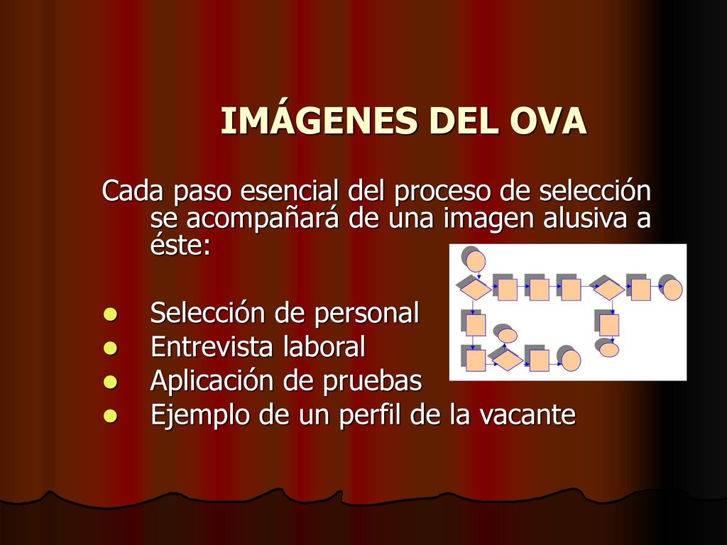 IMÁGENES DEL OVA Cada paso esencial del proceso de selección se acompañará de una imagen alusiva a éste: