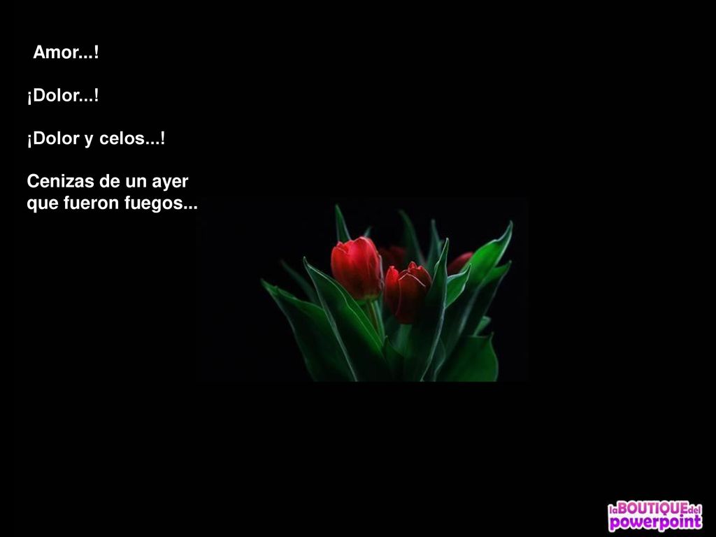 ¡Amor...! ¡Dolor...! ¡Dolor y celos...! Cenizas de un ayer que fueron fuegos...