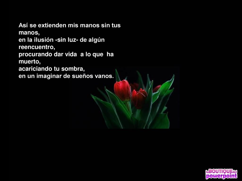 Así se extienden mis manos sin tus manos, en la ilusión -sin luz- de algún reencuentro, procurando dar vida a lo que ha muerto, acariciando tu sombra, en un imaginar de sueños vanos.