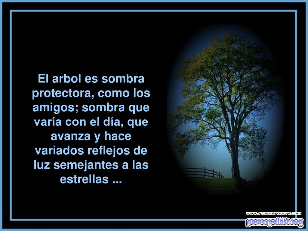 El arbol es sombra protectora, como los amigos; sombra que varía con el día, que avanza y hace variados reflejos de luz semejantes a las estrellas ...