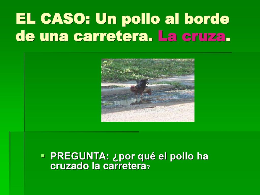 EL CASO: Un pollo al borde de una carretera. La cruza.
