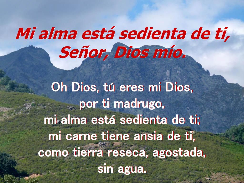 Mi alma está sedienta de ti, Señor, Dios mío.