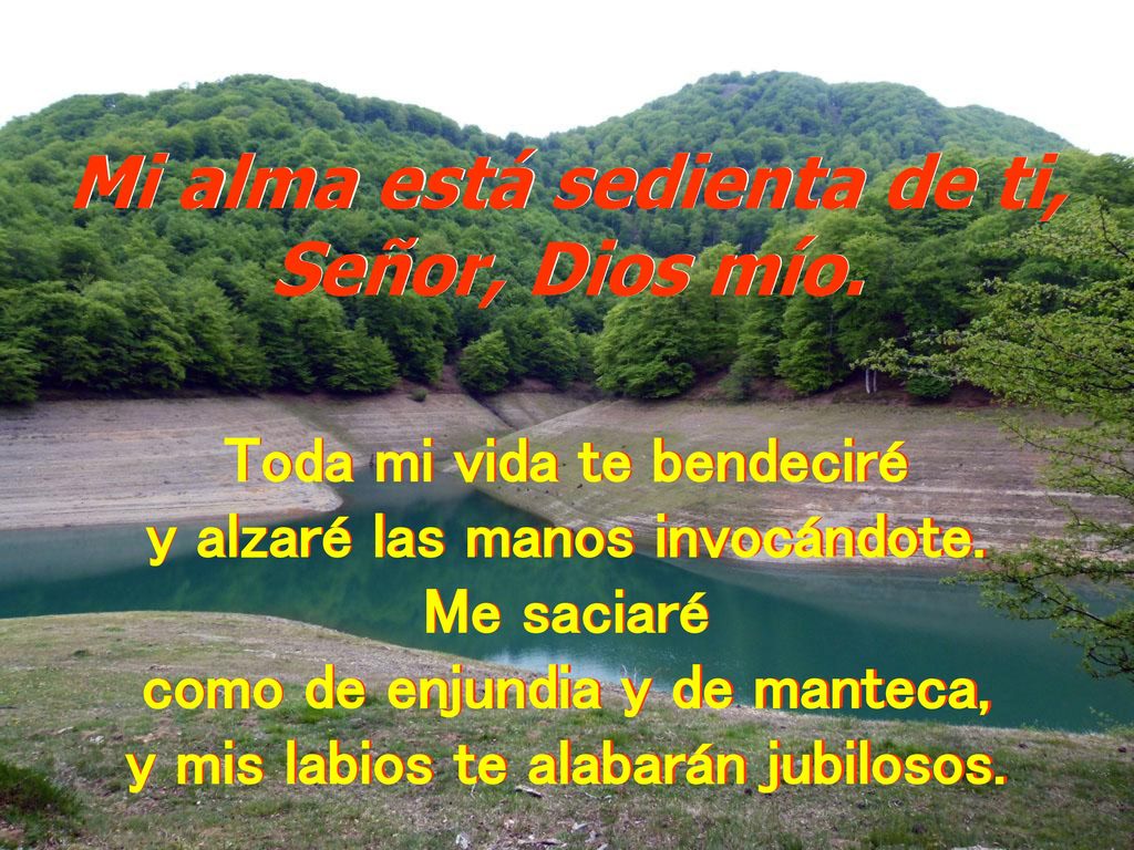 Mi alma está sedienta de ti, Señor, Dios mío.