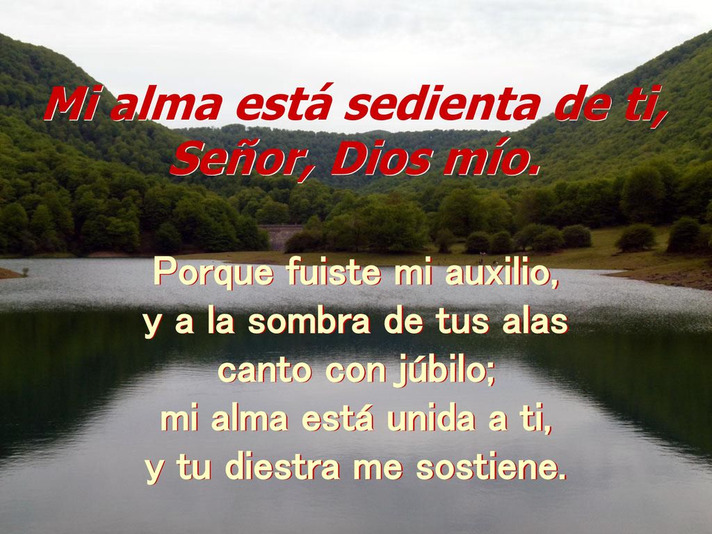 Mi alma está sedienta de ti, Señor, Dios mío.