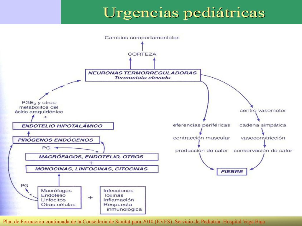 Plan de Formación continuada de la Conselleria de Sanitat para 2010 (EVES).
