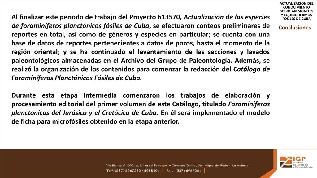 ACTUALIZACIÓN DEL CONOCIMIENTO SOBRE AMMONITES Y EQUINODERMOS FÓSILES DE CUBA
