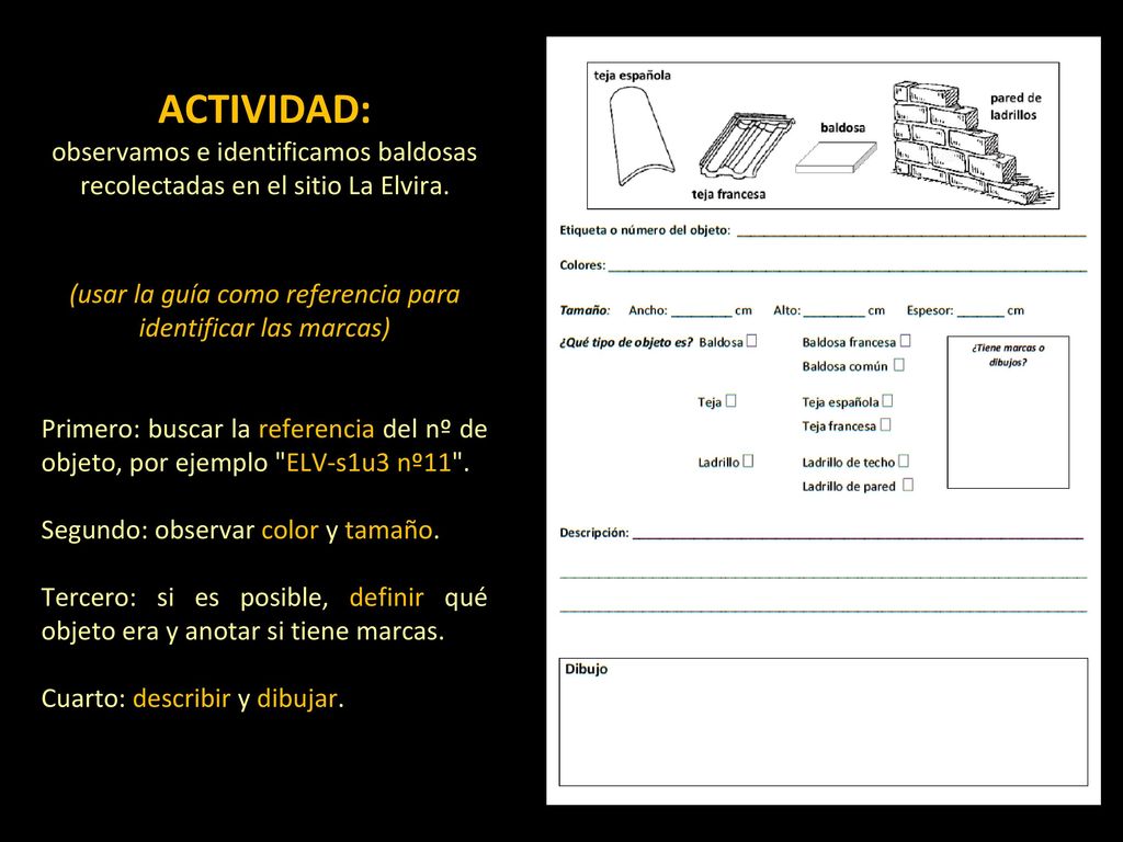 (usar la guía como referencia para identificar las marcas)