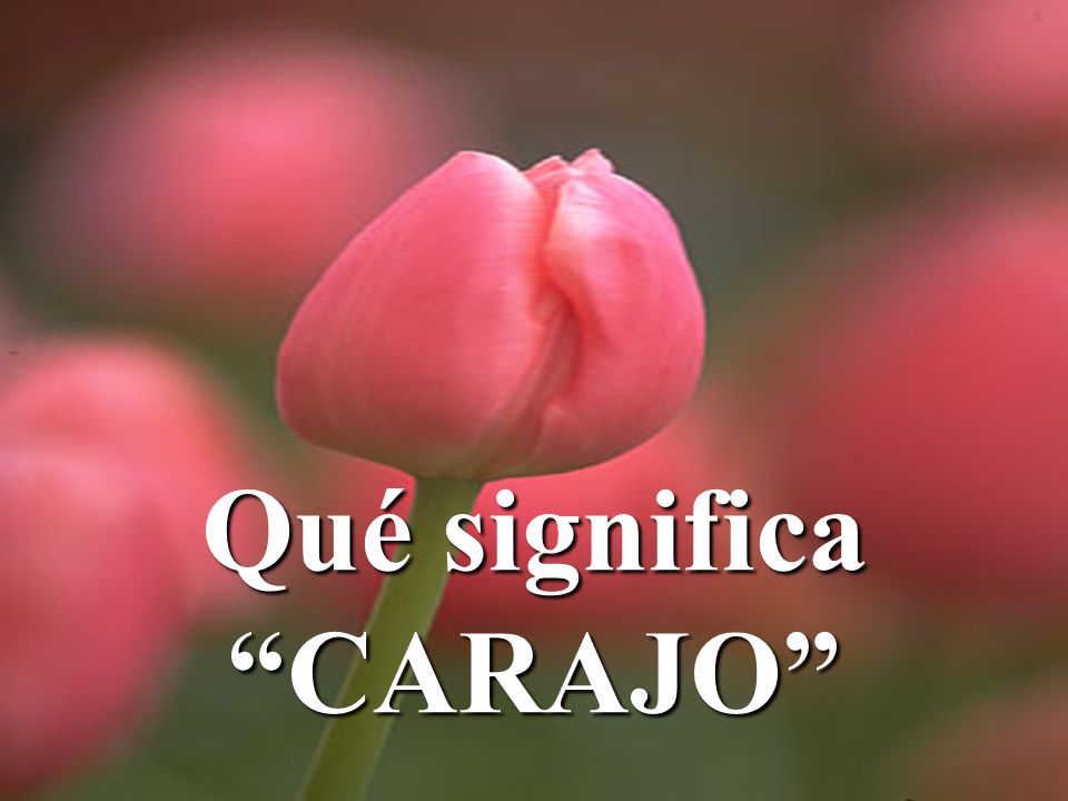 Qué significa CARAJO