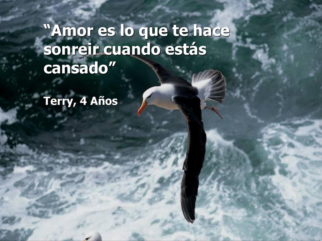 Amor es lo que te hace sonreir cuando estás cansado