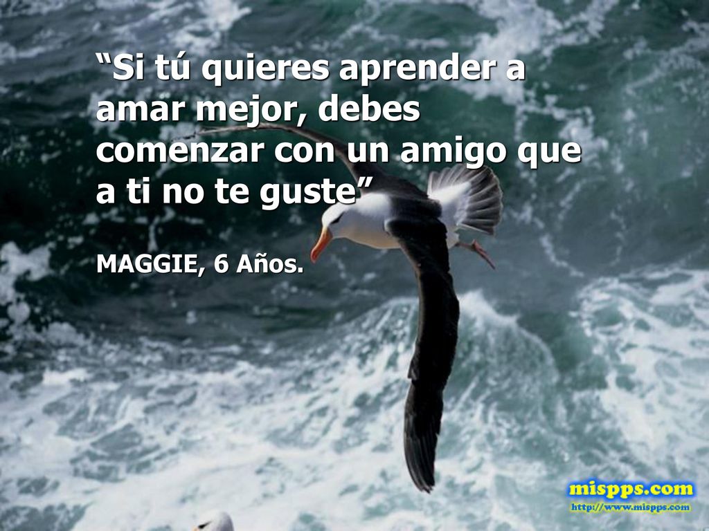 Si tú quieres aprender a amar mejor, debes comenzar con un amigo que a ti no te guste