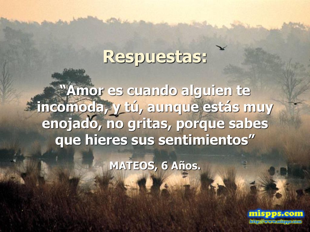 Respuestas: Amor es cuando alguien te incomoda, y tú, aunque estás muy enojado, no gritas, porque sabes que hieres sus sentimientos