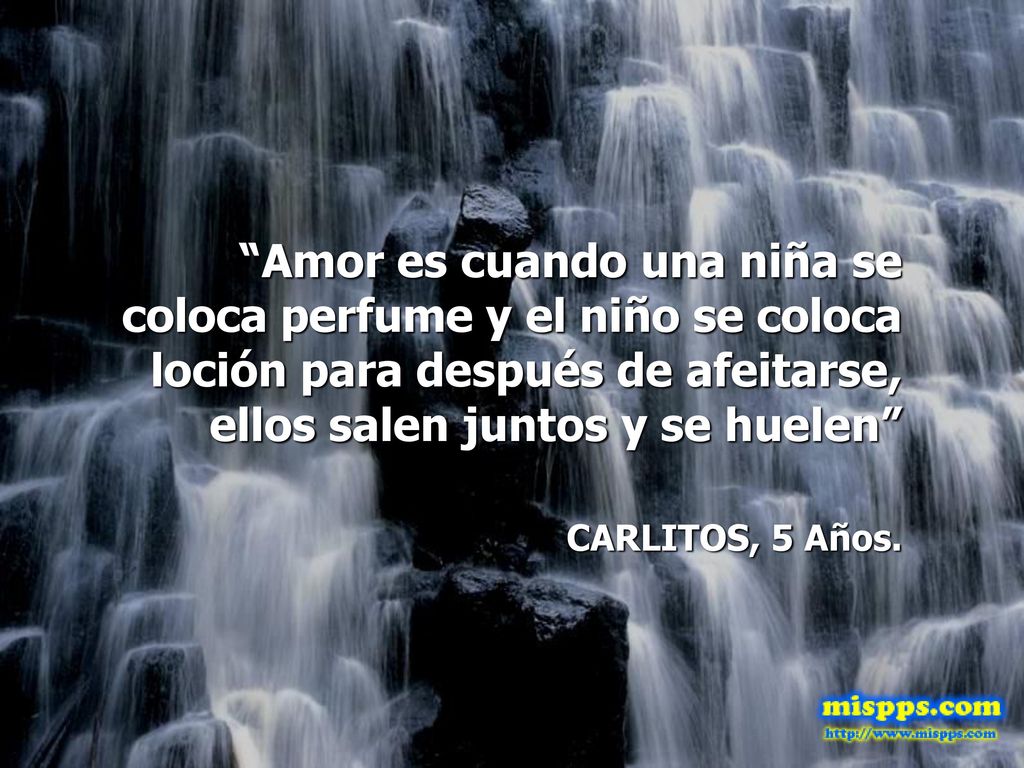 Amor es cuando una niña se coloca perfume y el niño se coloca loción para después de afeitarse, ellos salen juntos y se huelen