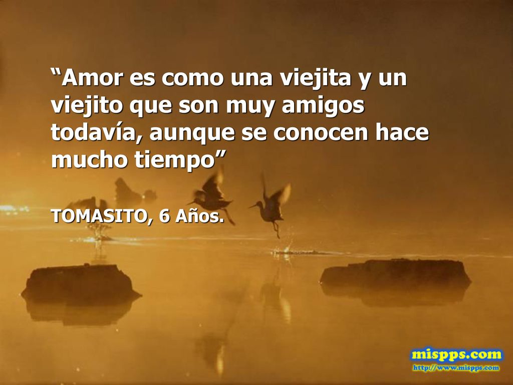 Amor es como una viejita y un viejito que son muy amigos todavía, aunque se conocen hace mucho tiempo