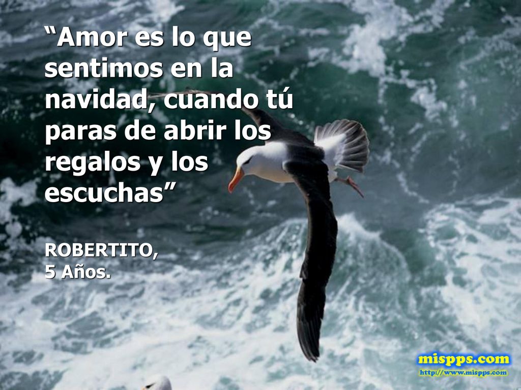 Amor es lo que sentimos en la navidad, cuando tú paras de abrir los regalos y los escuchas