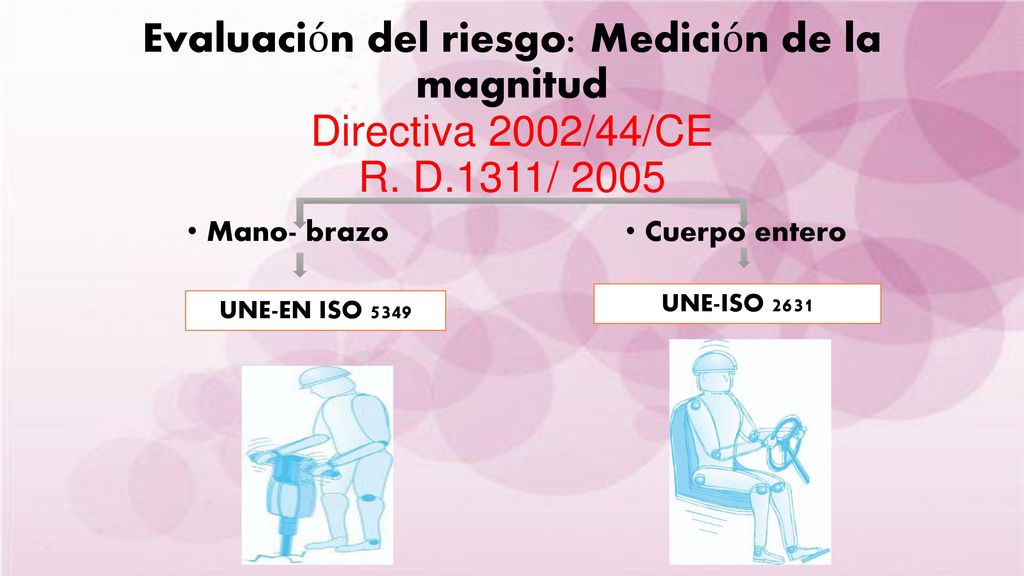 Evaluación del riesgo: Medición de la magnitud Directiva 2002/44/CE R