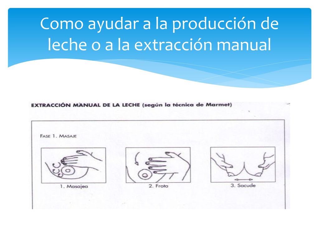 Como ayudar a la producción de leche o a la extracción manual