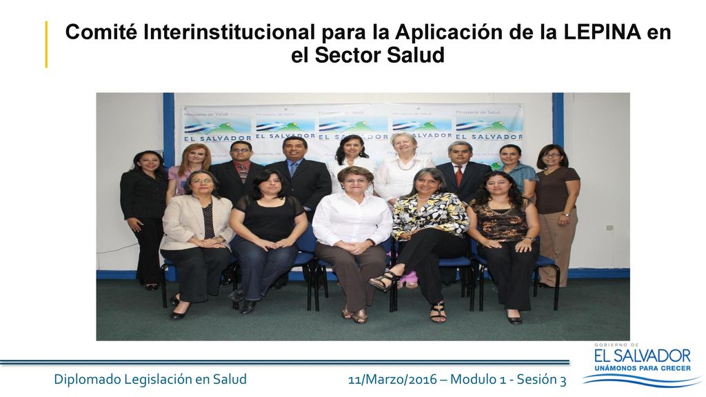 Comité Interinstitucional para la Aplicación de la LEPINA en el Sector Salud
