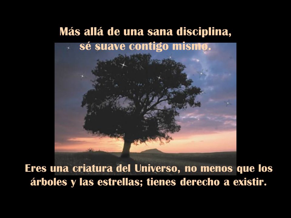 Más allá de una sana disciplina, sé suave contigo mismo.