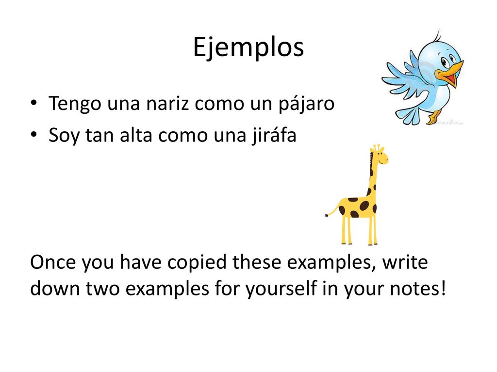 Ejemplos Tengo una nariz como un pájaro Soy tan alta como una jiráfa