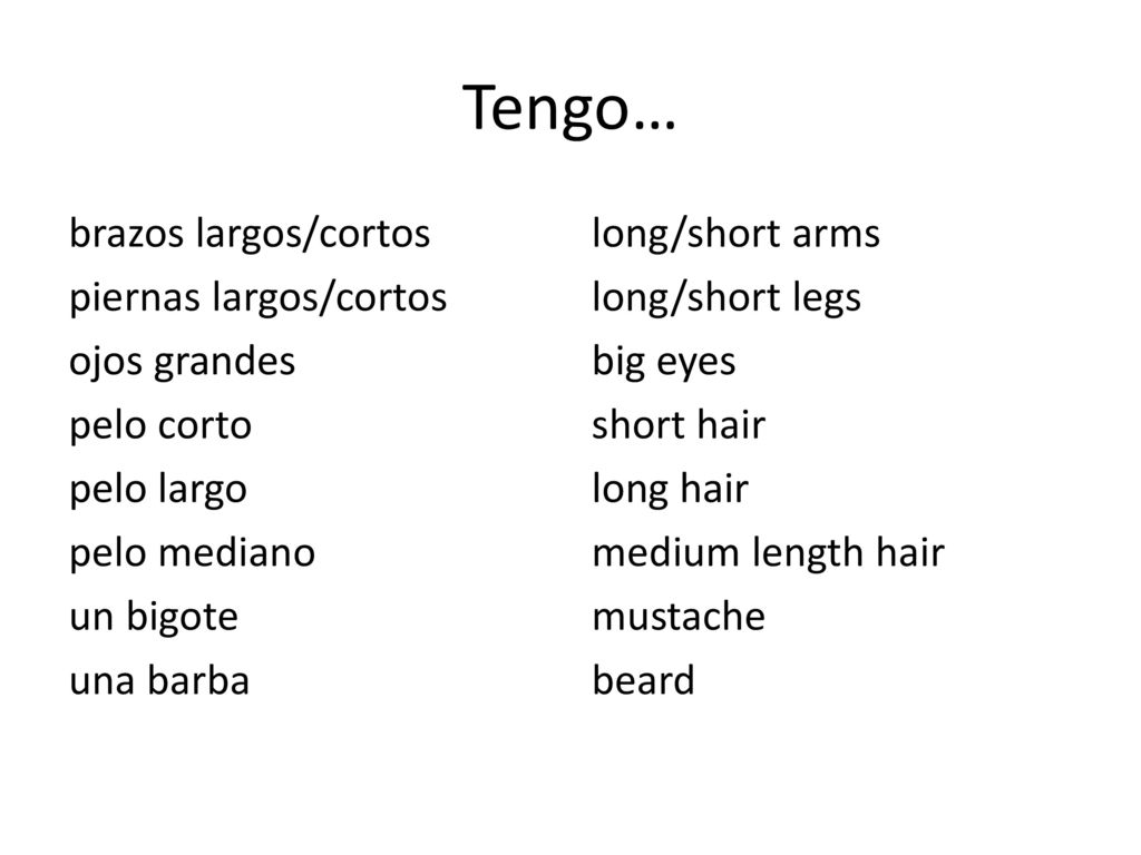 Tengo… brazos largos/cortos piernas largos/cortos ojos grandes pelo corto pelo largo pelo mediano un bigote una barba
