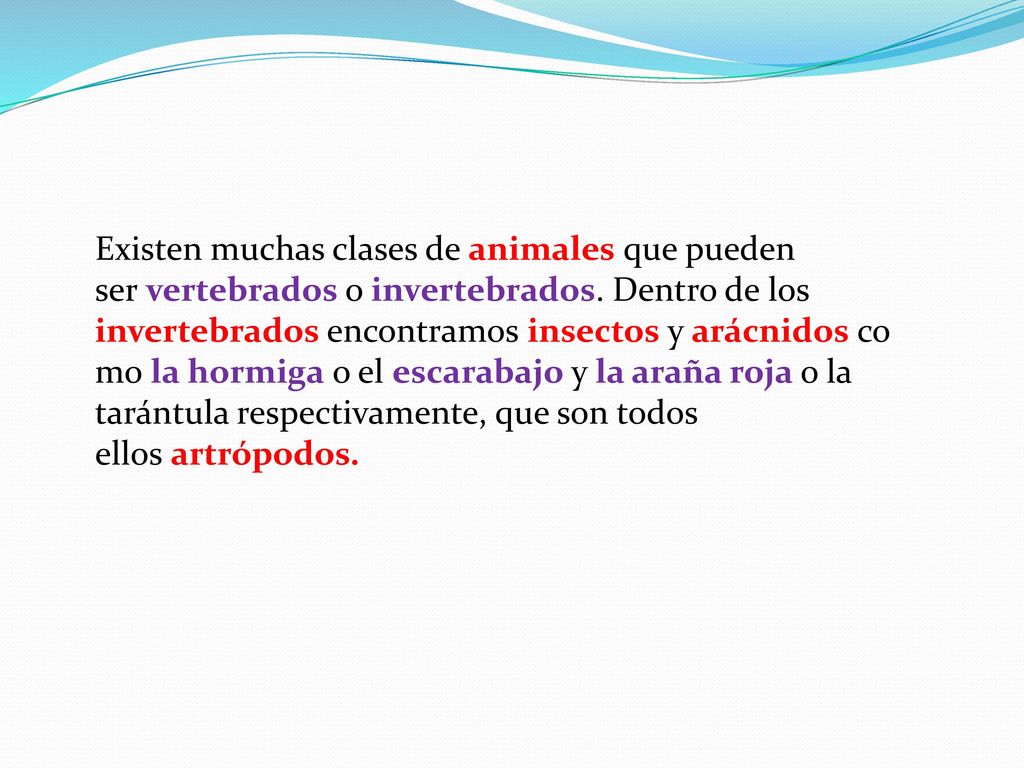 Existen muchas clases de animales que pueden ser vertebrados o invertebrados. Dentro de los invertebrados encontramos insectos y arácnidos como la hormiga o el escarabajo y la araña roja o la tarántula respectivamente, que son todos ellos artrópodos.