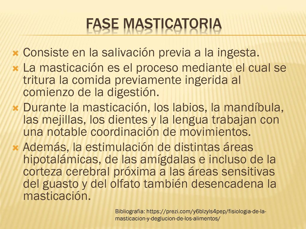 FASE MASTICATORIA Consiste en la salivación previa a la ingesta.