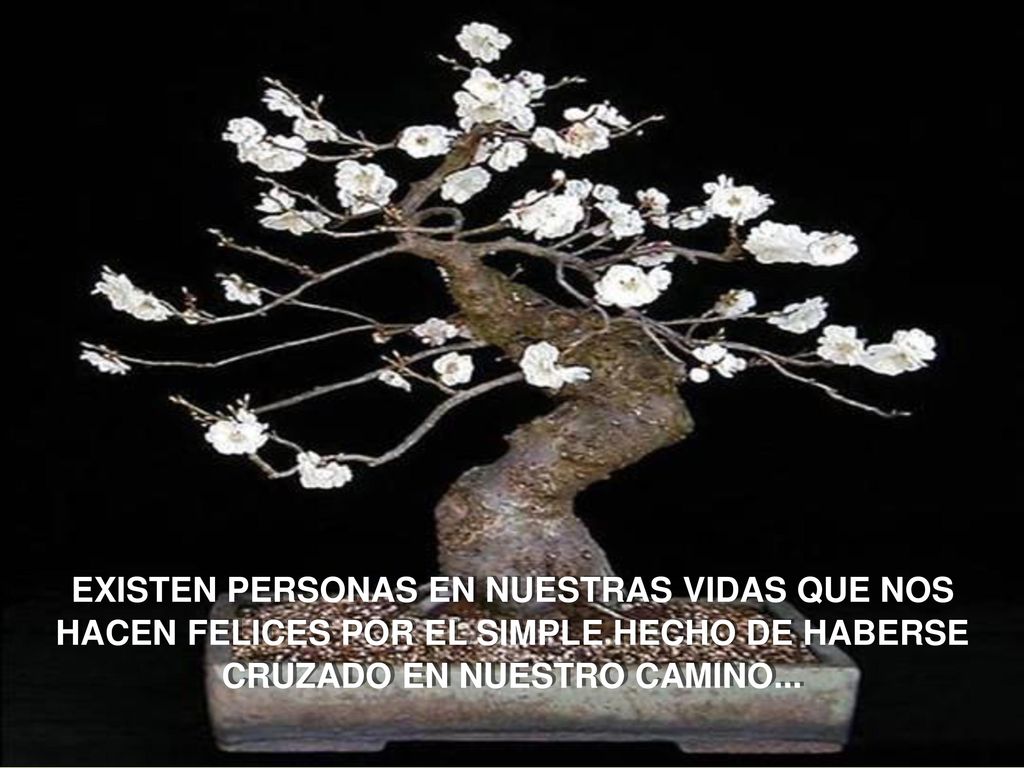 EXISTEN PERSONAS EN NUESTRAS VIDAS QUE NOS HACEN FELICES POR EL SIMPLE HECHO DE HABERSE CRUZADO EN NUESTRO CAMINO...