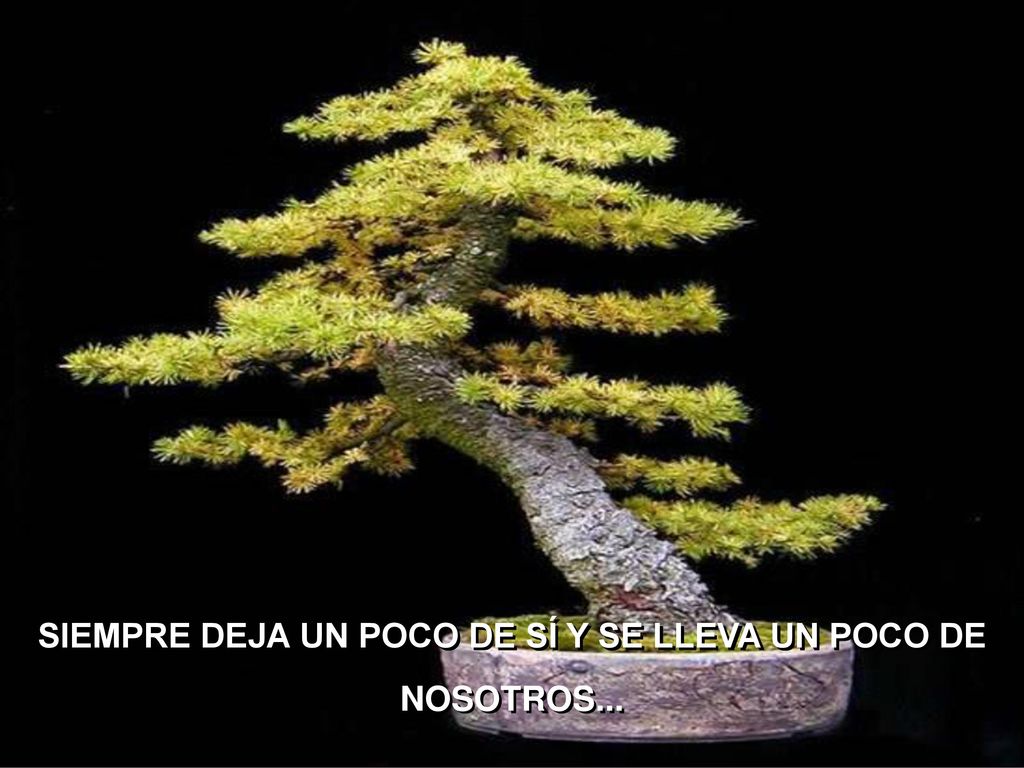 SIEMPRE DEJA UN POCO DE SÍ Y SE LLEVA UN POCO DE NOSOTROS...